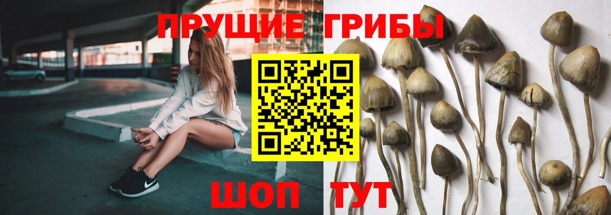 Галлюциногенные грибы Cubensis Ливны