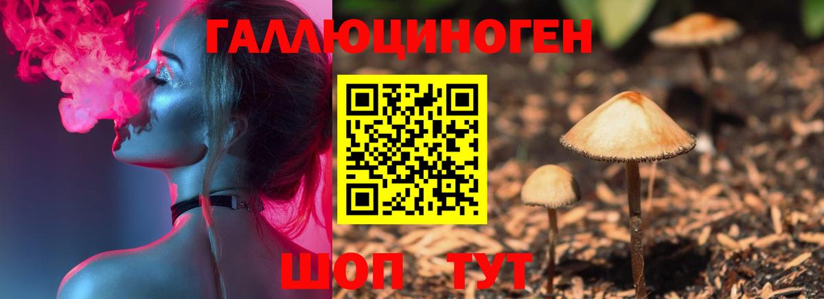 Псилоцибиновые грибы Cubensis  Галлюциногенные грибы мухоморы  Вход с VPN  Ливны 